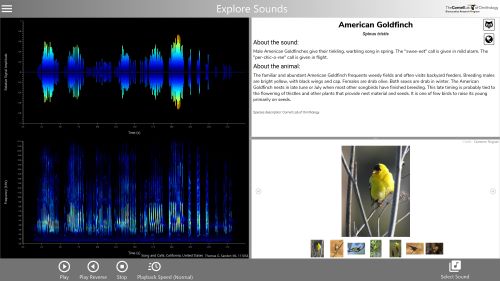 Raven Pro 1.6 – Cornell Lab of Ornithology Store