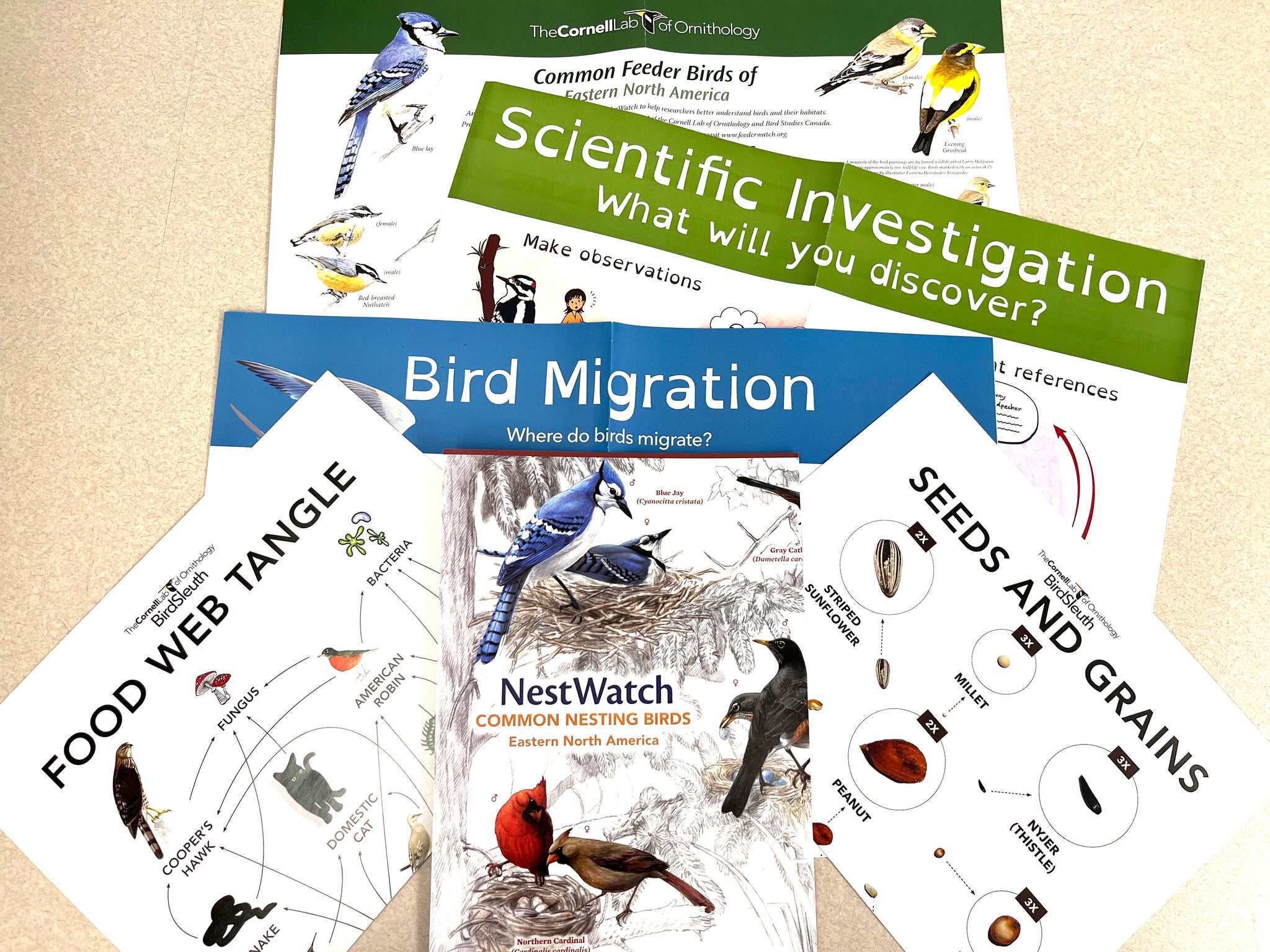 Raven Pro 1.6 – Cornell Lab of Ornithology Store