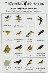 K-12 Bird Bingo Cards (Spanish)