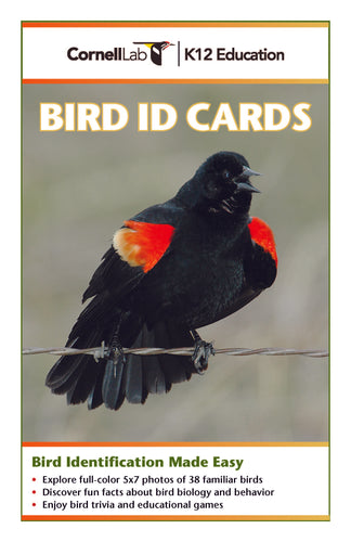 K-12 Bird ID Cards