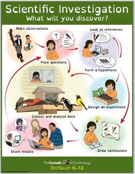 K-12 Scientific Investigation Discovery Poster