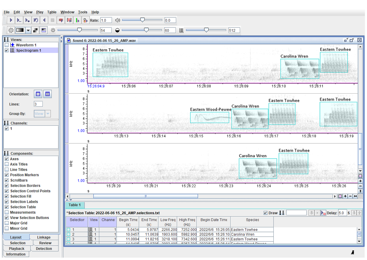 Raven Pro 1.6 – Cornell Lab of Ornithology Store