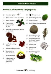 Scavenger Hunt Cards