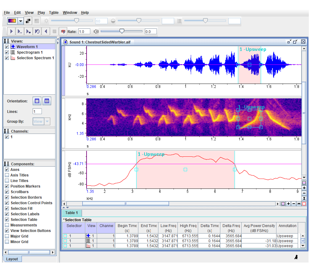 Raven Lib Raven Lite 2.0 - Free License – Cornell Lab of Ornithology Store